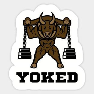 Gym Bull Sticker